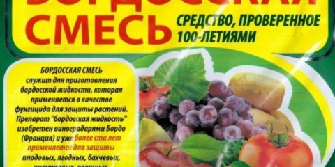 Obrada ribizle bordoskom tekućinom u proljeće i jesen